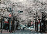 Bank of Japan: Kemungkinan Besar Suku Bunga Akan Naik
