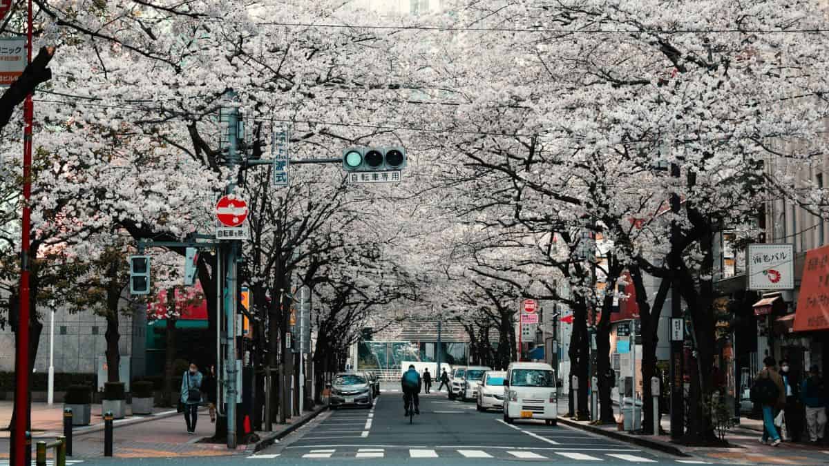 Jepang Akan Menaikan Suku Bunga